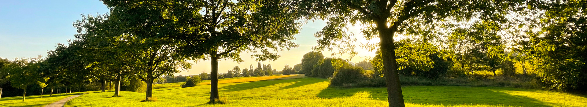 weldio_banner_landschaft_2